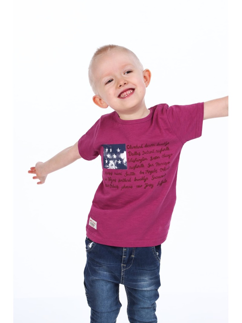 Boy\'s T-shirt with inscriptions, purple NDZ4446 - Online store - Boutique